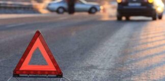 Водитель детского сада насмерть сбил ребенка в Туркестане