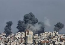 Казахстанцы в Газе не могут выйти на связь из-за дорогого роуминга-сенатор