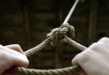 В Дендропарке Шымкента обнаружили труп