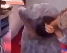 Свекровь бьет невестку: шокирующее видео прокомментировали в ДП Шымкента