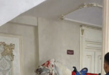 Лошадь с завязанными глазами пытались спустить по лестнице в Шымкенте