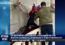 Полиция наказала хозяина лошади, который загнал животное в ресторан во время тоя