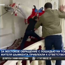 Полиция наказала хозяина лошади, который загнал животное в ресторан во время тоя