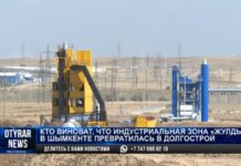 В Шымкенте индустриальная зона превратилась в долгострой