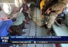 Крупную ОПГ ликвидировали в Туркестанской области