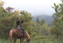 Опасная и низкооплачиваемая: лесничие требуют повышения зарплат