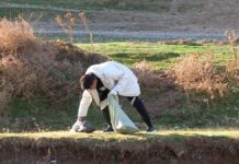 Шымкентские госслужащие навели чистоту в жилом массиве Бадам