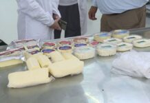 Моцареллу, рикотту и сулугуни производят в Шымкенте