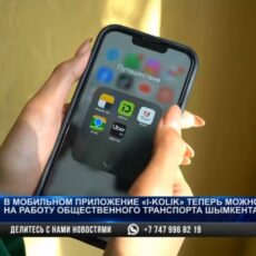 В мобильном приложении I-Kolik можно пожаловаться на работу общественного транспорта