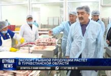 Экспорт рыбной продукции растёт в Туркестанской области