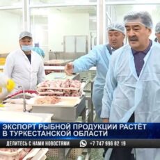 Экспорт рыбной продукции растёт в Туркестанской области