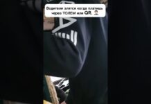 Водителя авто с подложными номерами арестовали в Шымкенте