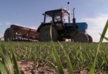 Аграрии юга жалуются на нехватку современных хранилищ