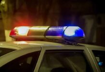 Мертвого новорожденного нашли в Шымкенте