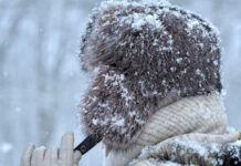 В Шымкенте установится морозная погода в ближайшие дни