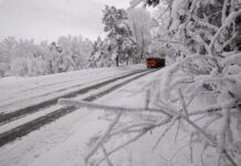 В Шымкенте началась массовая борьба со снегом