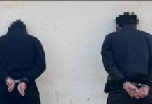 Серийных домушников задержали в Туркестане