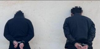 Серийных домушников задержали в Туркестане