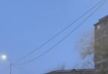 Автомаскарад устроил водитель Шымкента