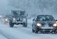 327 человек удалось вызволить из снежного плена спасателям в Туркестанской области