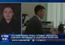 В правительстве утвердили новую концепцию развития рынка труда