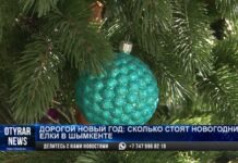 Во сколько обошлась новогодняя ёлка казахстанцам