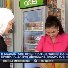Уже через 4 года в Казахстане начнут проверять доходы физических лиц