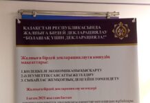 Третий этап всеобщего декларирования: что нужно знать жителям Шымкента