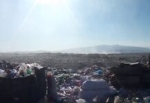 80% мусорных полигонов работают с нарушениями