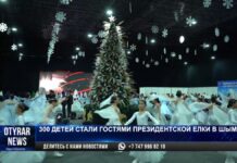 В Шымкенте зажглись огни президентской елки для 300 детей
