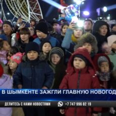 В Шымкенте зажгли главную новогоднюю ёлку