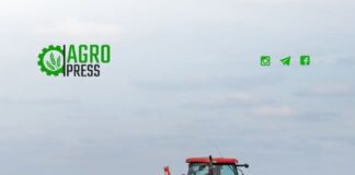 Стартовало финансирование льготного кредитования посевной кампании 2024 года