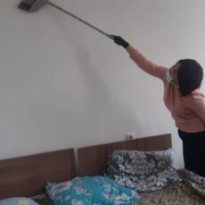 Кризисный центр Шымкента закрыли из-за нашествия мышей