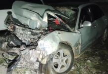 Смертельное ДТП произошло на трассе «Алматы-Ташкент-Термез»