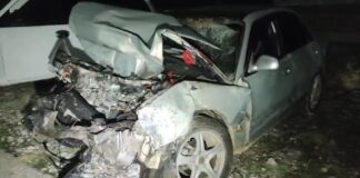 Смертельное ДТП произошло на трассе «Алматы-Ташкент-Термез»