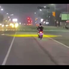 Байкера, ездившего на одном колесе, оштрафовали в Шымкенте