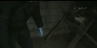 Наркотики в особо крупном размере хранил в сарае житель Шымкента