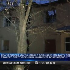 Жестокая расправа в Шымкенте: подозреваемому может грозить до 20 лет тюрьмы
