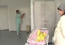 Какие имена детей популярны у шымкентцев?