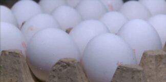 Цены на социально значимые товары планируют больше не сдерживать