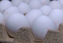 Казахстанцы начали переживать, что могут остаться без куриного яйца