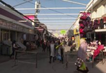 Более 1 млрд тенге потратят на модернизацию рынков в Шымкенте