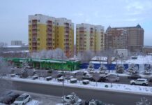 Создать ботанический сад в Шымкенте предложил совет ветеранов