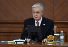 «В зоне риска поливные земли Туркестанской и Карагандинской области». Президент высказал о проблемах с водообеспечением