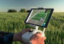 Оцифровку услуг в сфере земельного кадастра внедрили в Шымкенте