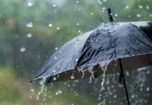 Какой будет весна в Казахстане, рассказали синоптики