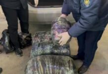 Крупную партию наркотиков перехватили на трассе в Туркестанской области