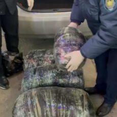 Крупную партию наркотиков перехватили на трассе в Туркестанской области