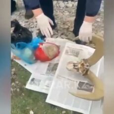 Рога архара и сайгака обнаружили дома у мужчины в Шымкенте