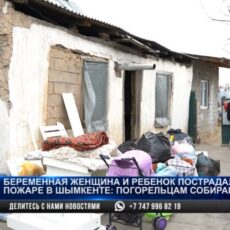 Беременная женщина и ребенок пострадали при пожаре: погорельцам собирают помощь